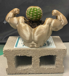 Ultra Swole Succulent Planter | Air Plant Holder | Unique Planters | Succulent Planter | Unique Home Decor