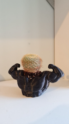 Ultra Swole Succulent Planter | Air Plant Holder | Unique Planters | Succulent Planter | Unique Home Decor