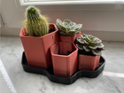 Hexagonal Planter | Unique Planters | Succulent Planter | Unique Home Decor
