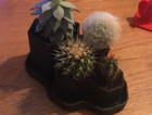 Hexagonal Planter | Unique Planters | Succulent Planter | Unique Home Decor