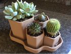 Hexagonal Planter | Unique Planters | Succulent Planter | Unique Home Decor