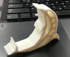 Cute Dolphin Phone Stand