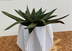 Geometric Vase