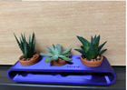 Succulent Stand | Desk Decor Succulents