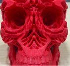 Syfy Skull | Desk Decor | Alien Skull
