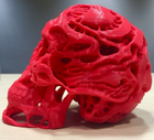 Syfy Skull | Desk Decor | Alien Skull