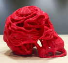 Syfy Skull | Desk Decor | Alien Skull
