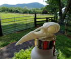 Raven Skull | Desk Decor