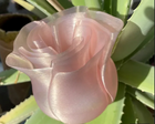 Spiral Vase Rose