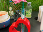 Heart Vase | Test Tube Flower Vase