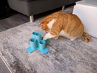 Treat Tower | Enrichment Puzzle