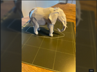 Low Poly Elephant Statue