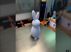 Springy Easter Bunny