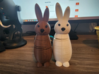 Springy Easter Bunny