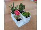 Flower / Succulent Pot (with Hidden Drain Holes & Water Tray)