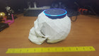 Echo Dot Gen 2 Skull Holder