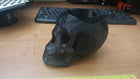 Echo Dot Gen 2 Skull Holder