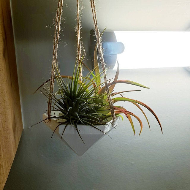 air plant planter ideas Hanging Planter | Air Plant Hanger | Air Plant Holder