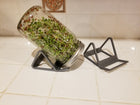 Sprouter - Lid Strainer & Stand
