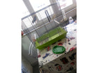 Bird Parakeet Bath