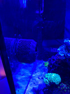 Ecotech Vortech MP40 Anemone Guard