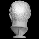 Detailed Bust Of Michelangelo