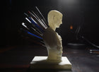 Julius Caesar Pen Holder and Pencil Holder Desktop Organizer