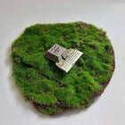 Tula (Pyramid of Quetzalcoatl) - Mexico Scaled 100% Accurate Model Miniature Tabletop Diorama Architecture