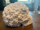 Aztec Mayan Death Skull Of Skulls Human Skull Artifact Skull Sculpture Desk Oranament Multiple Sizes And Colors Fast shipping guaranteed.