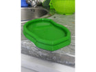 Bird Parakeet Bath