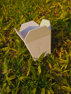 Cute Succulent Planter Chinese Takeout Box