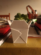 Cute Succulent Planter Chinese Takeout Box