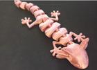 Articulating Axolotl | Lifelike Movement
