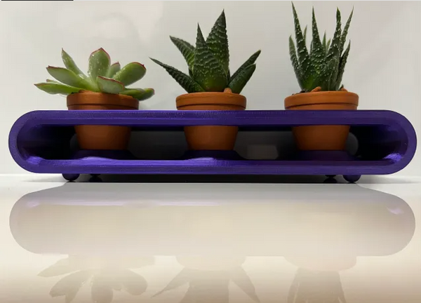 Succulent Stand | Desk Decor Succulents