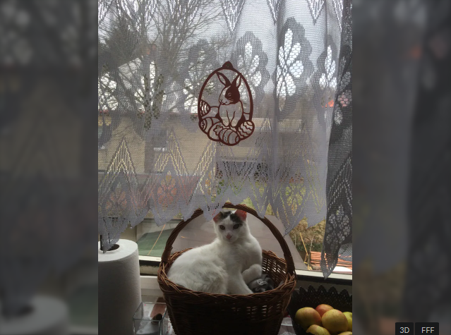 Easter Bunny Window Art