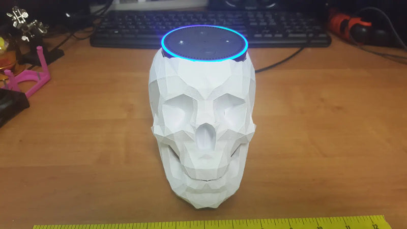 Echo Dot Gen 3 Skull Holder