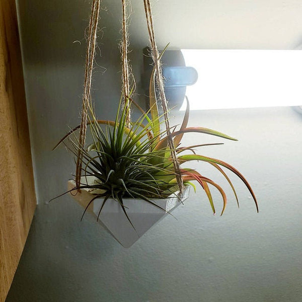 hanging air plant containers Hanging Planter | Air Plant Hanger | Air Plant Holder