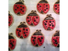 Lady Bug Cookie Cutter For Kids And Adults Fun