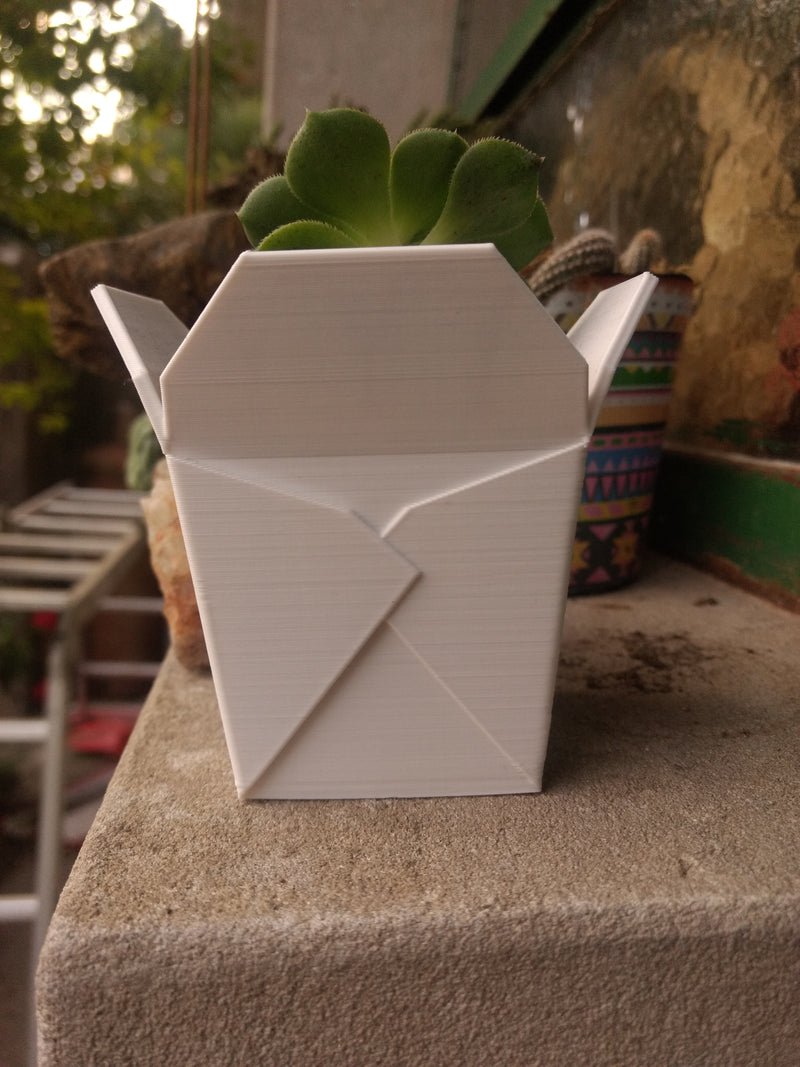 Cute Succulent Planter Chinese Takeout Box