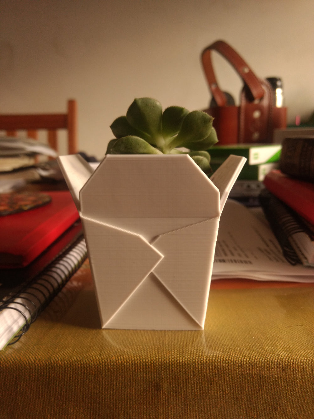 Cute Succulent Planter Chinese Takeout Box